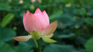 profound divinity