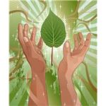 energetic reset