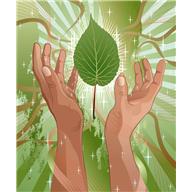 energetic reset