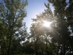Spreading the light