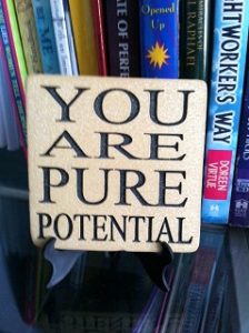pure potential