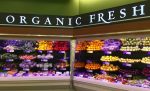 gmos