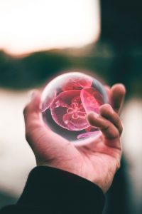 intuitive insights