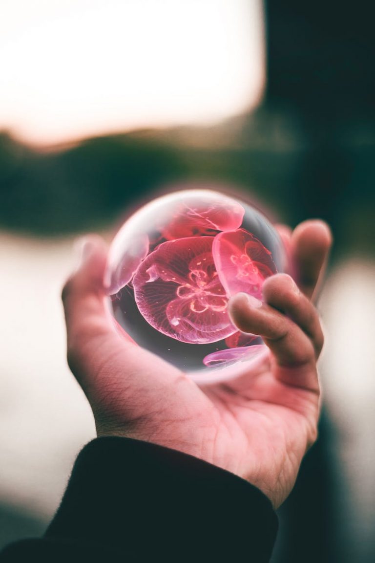 intuitive insights
