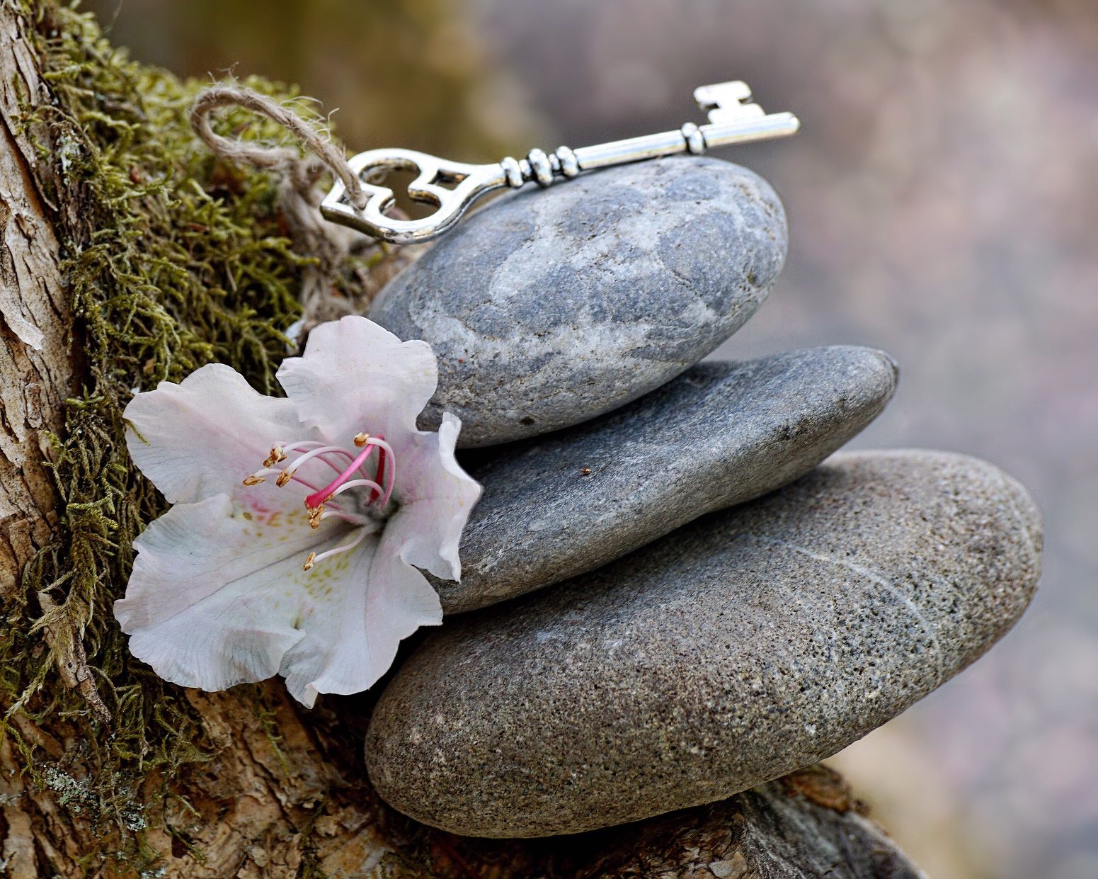 spiritual seeker