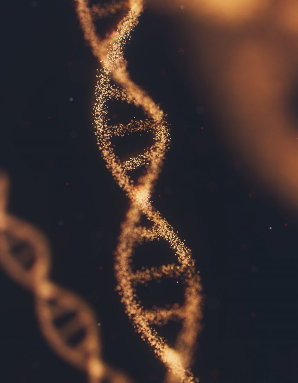 DNA healing