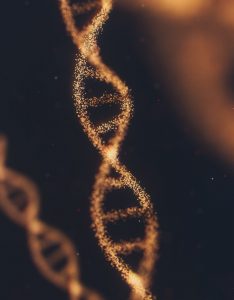 DNA healing