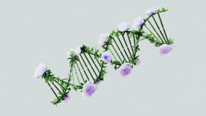 genetic design